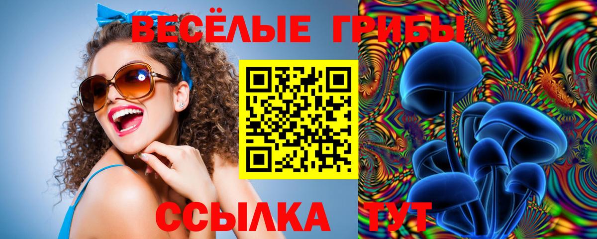 Псилоцибиновые грибы мицелий Туапсе