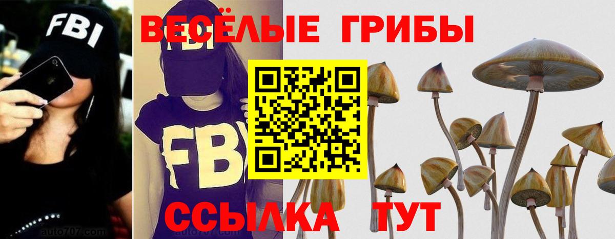 Псилоцибиновые грибы Cubensis  Вход с VPN  Туапсе 